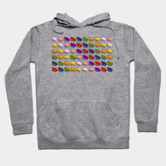 Rainbow Army of Frogs Hoodie by ellenhenryart